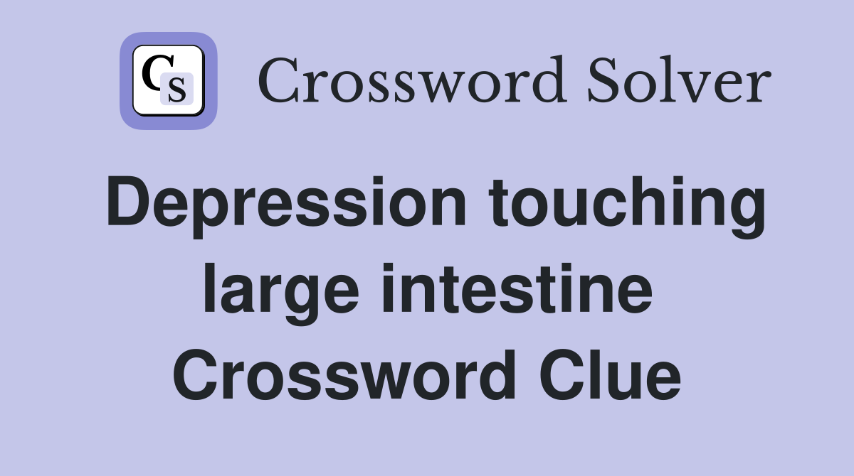 Depression touching large intestine Crossword Clue