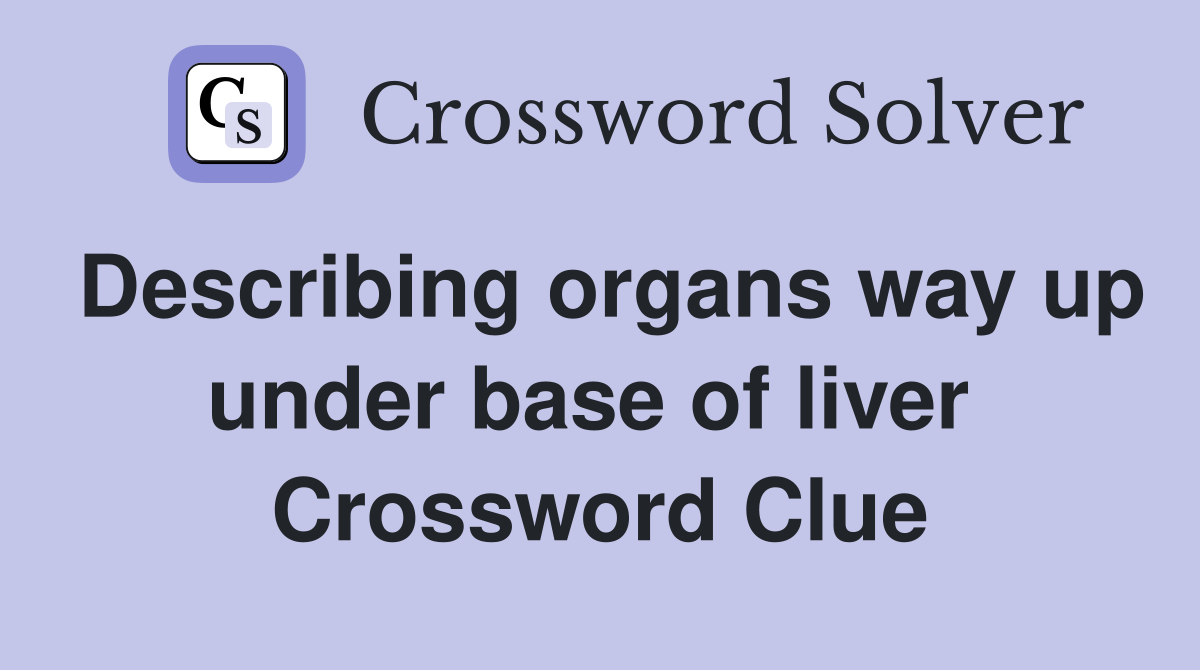 Describing organs way up under base of liver  Crossword Clue