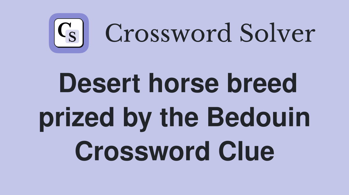 Desert horse breed prized by the Bedouin Crossword Clue
