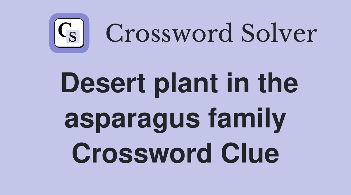 Desert plant in the asparagus family Crossword Clue