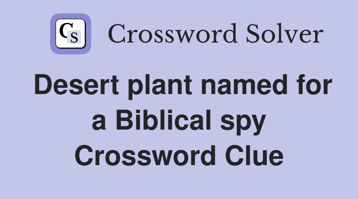 Desert plant named for a Biblical spy Crossword Clue