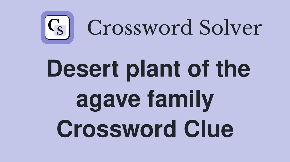 Desert plant of the agave family Crossword Clue