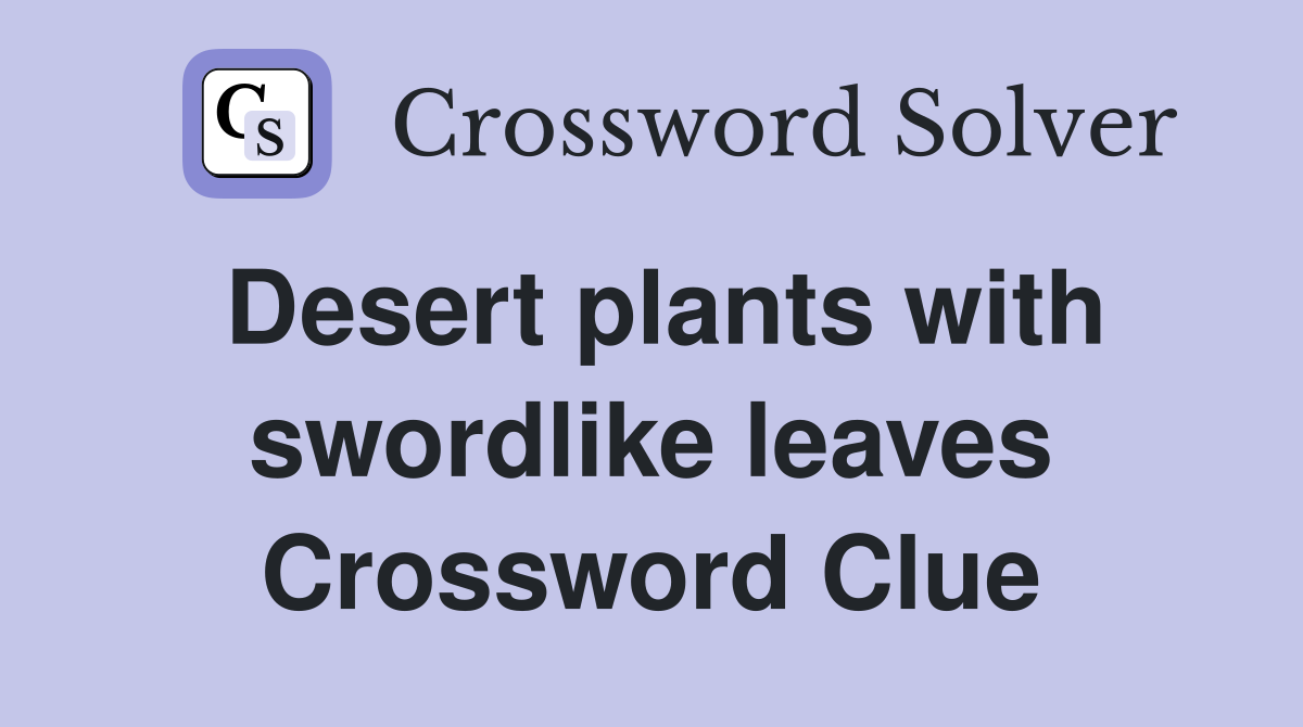 Desert plants with swordlike leaves Crossword Clue