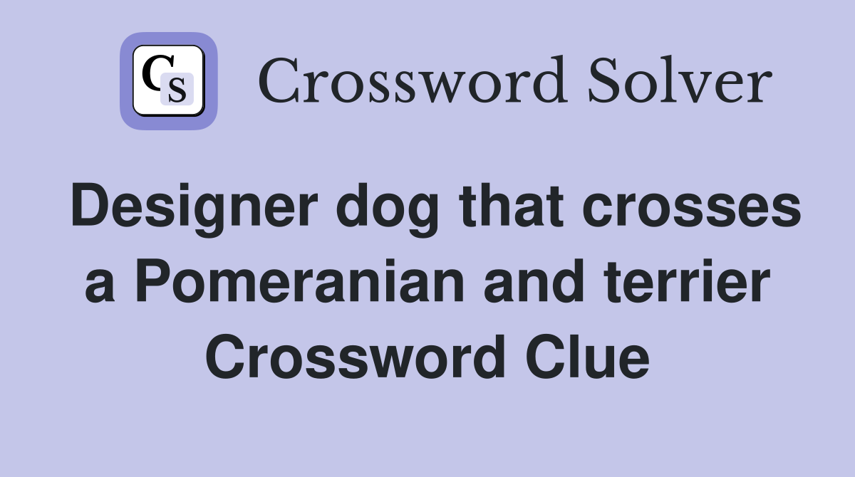 Designer dog that crosses a Pomeranian and terrier Crossword Clue