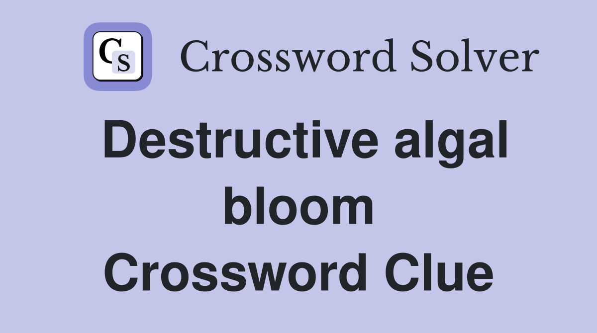 Destructive algal bloom Crossword Clue