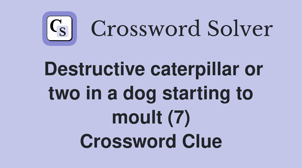 Destructive caterpillar or two in a dog starting to moult (7) Crossword Clue