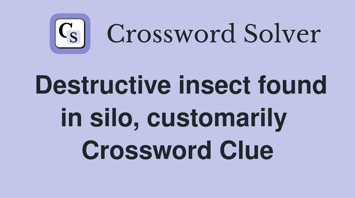 Destructive insect found in silo, customarily  Crossword Clue