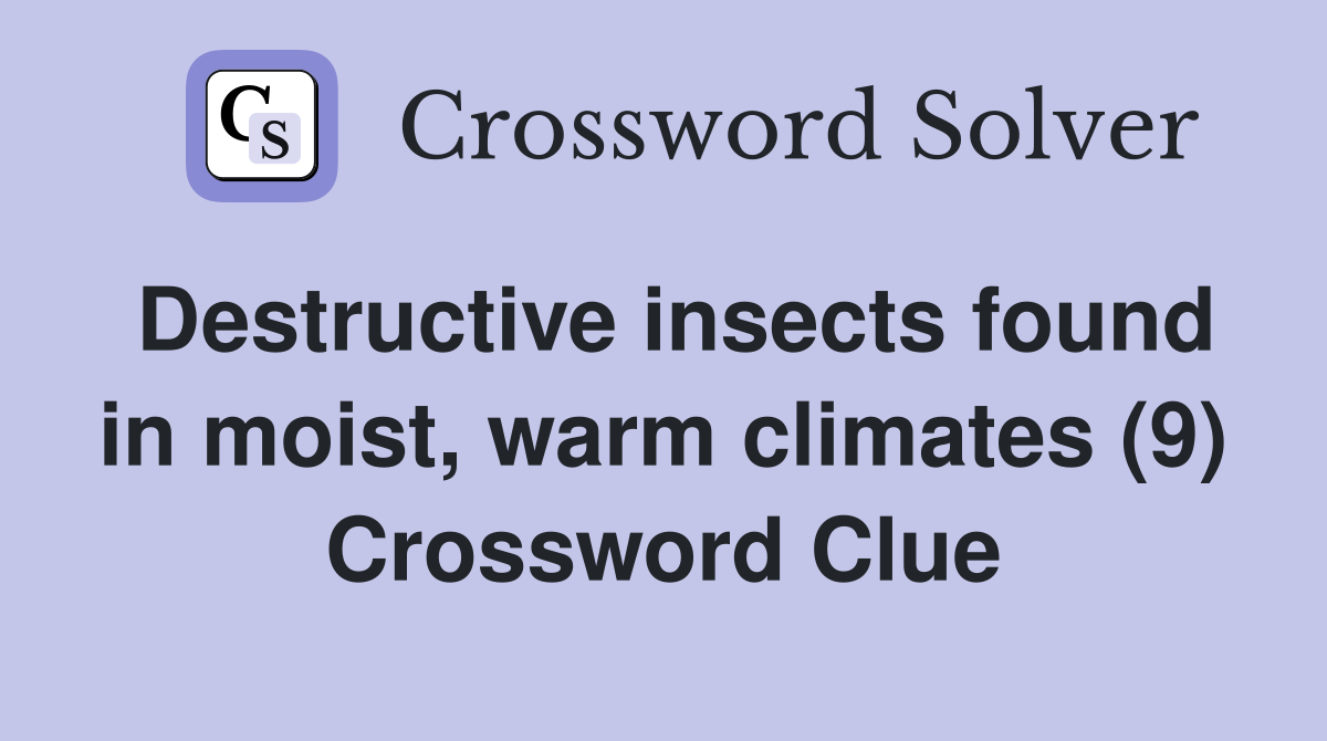 Destructive insects found in moist, warm climates (9) Crossword Clue