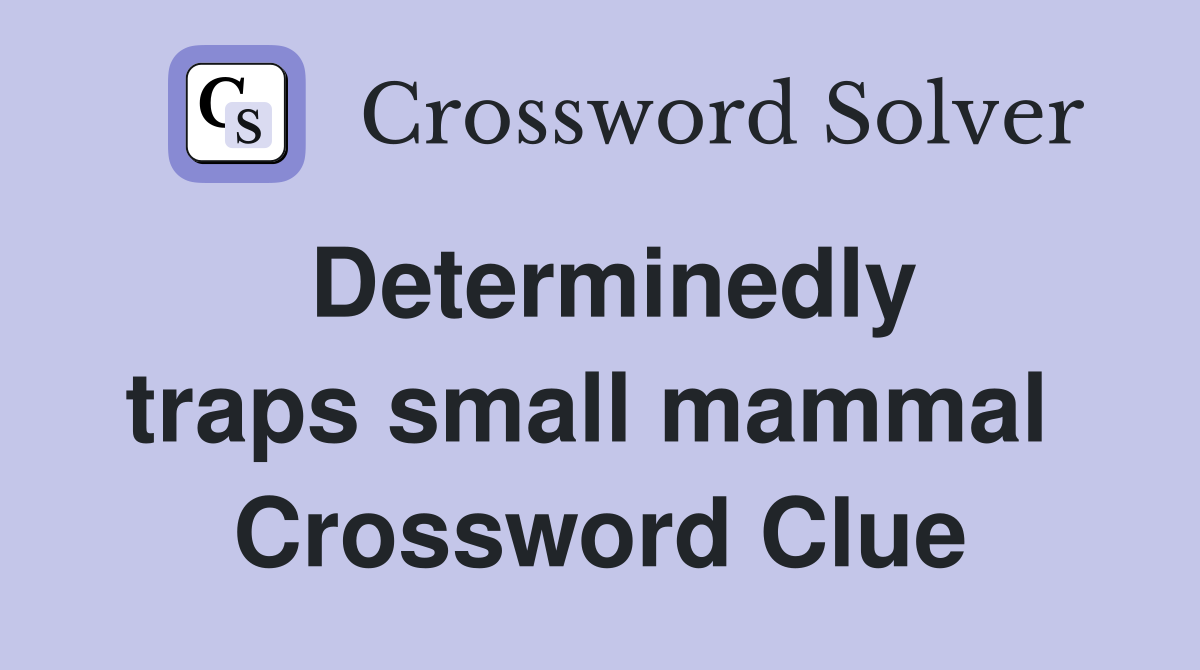 Determinedly traps small mammal  Crossword Clue