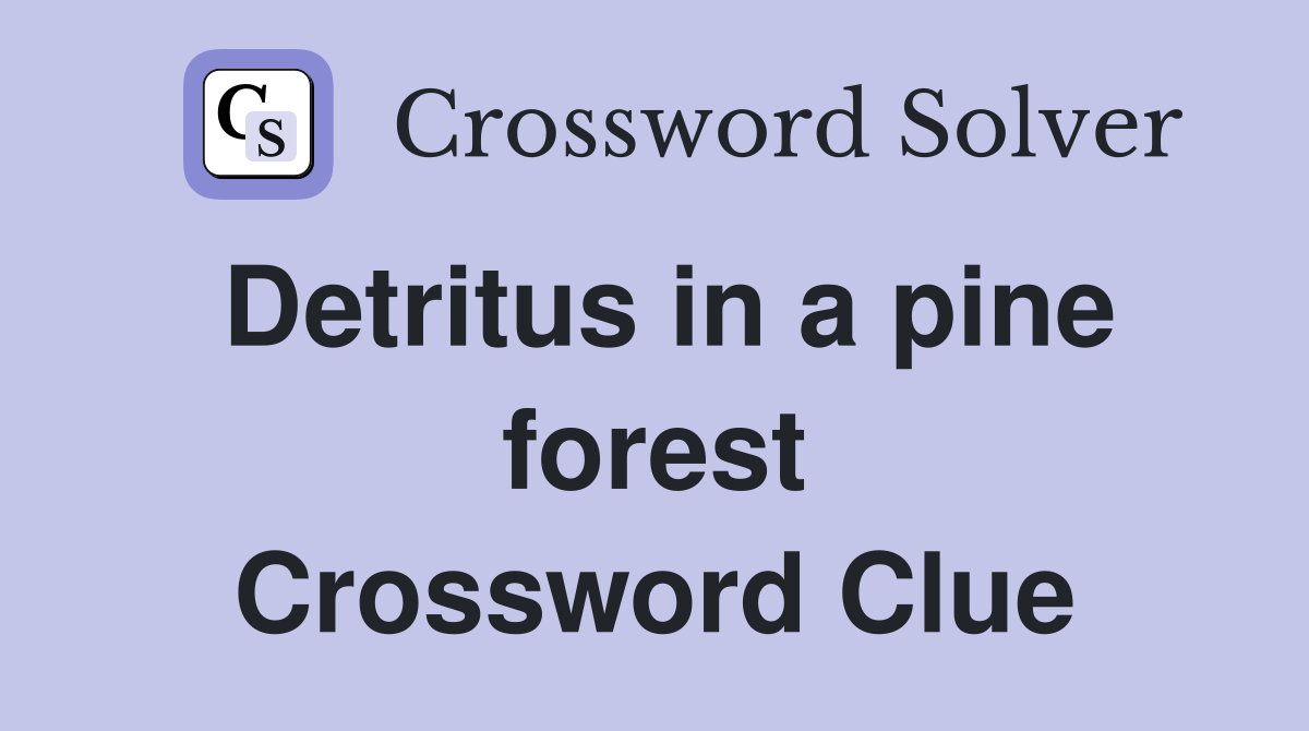Detritus in a pine forest Crossword Clue