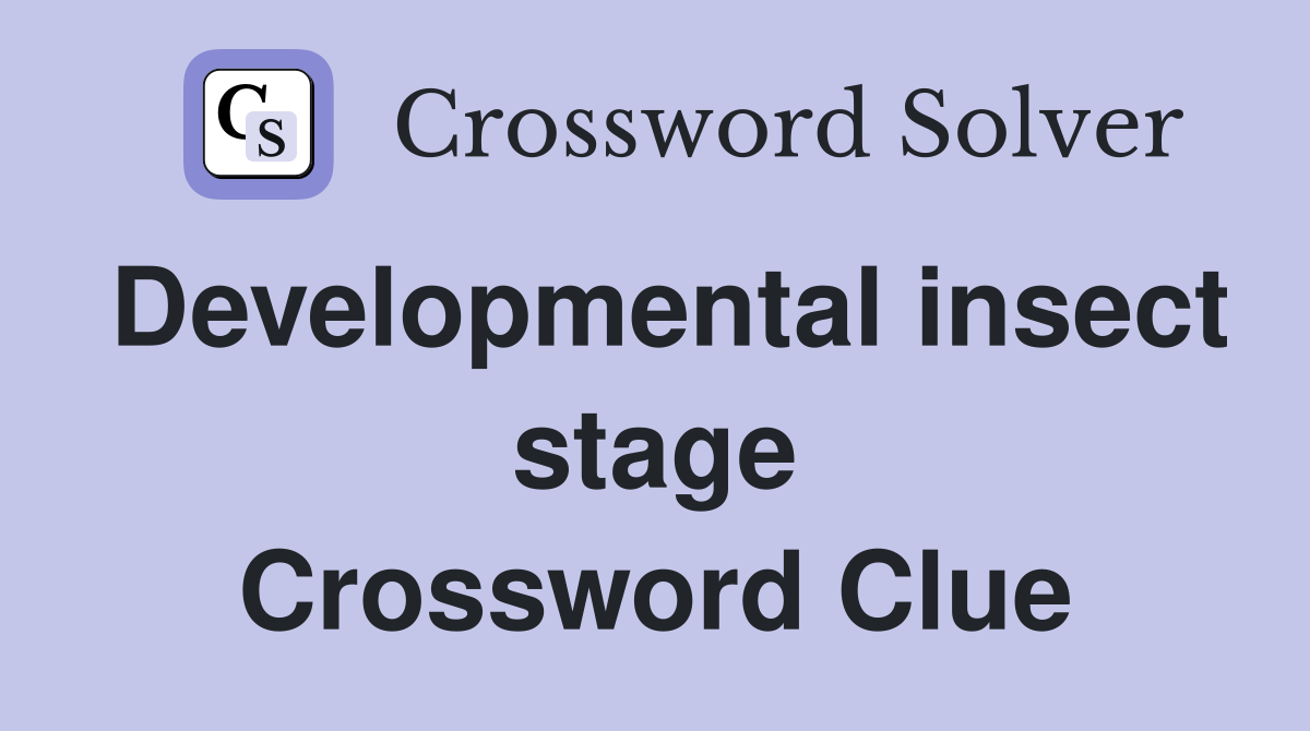 Developmental insect stage Crossword Clue