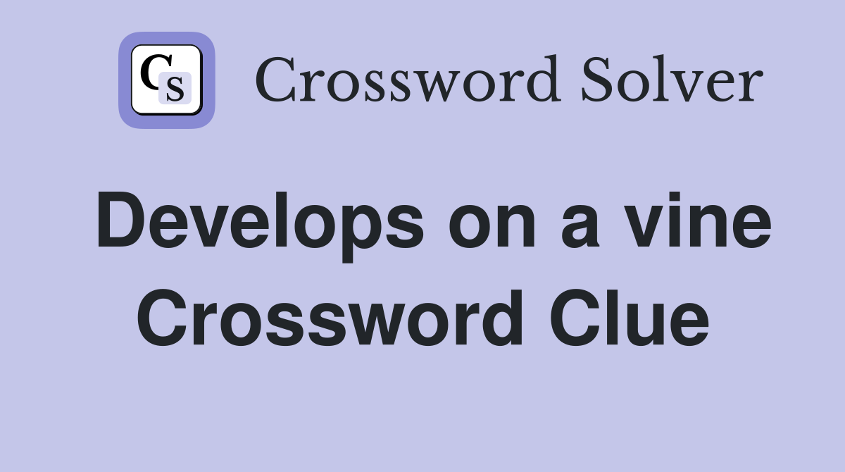 Develops on a vine Crossword Clue