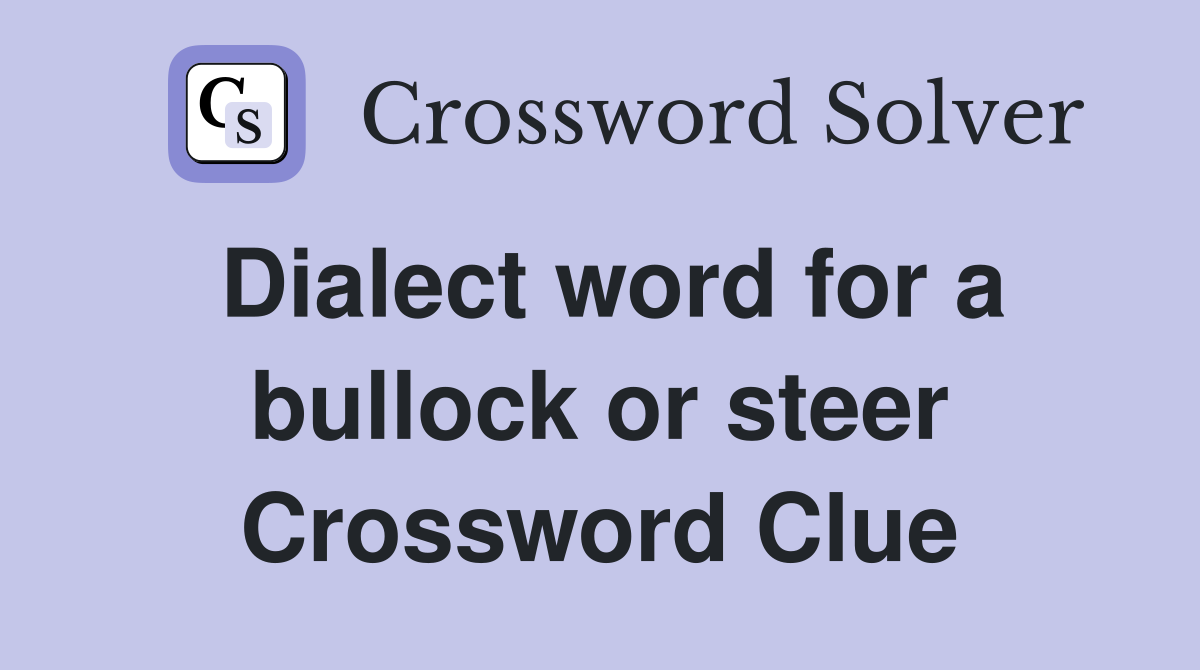 Dialect word for a bullock or steer Crossword Clue