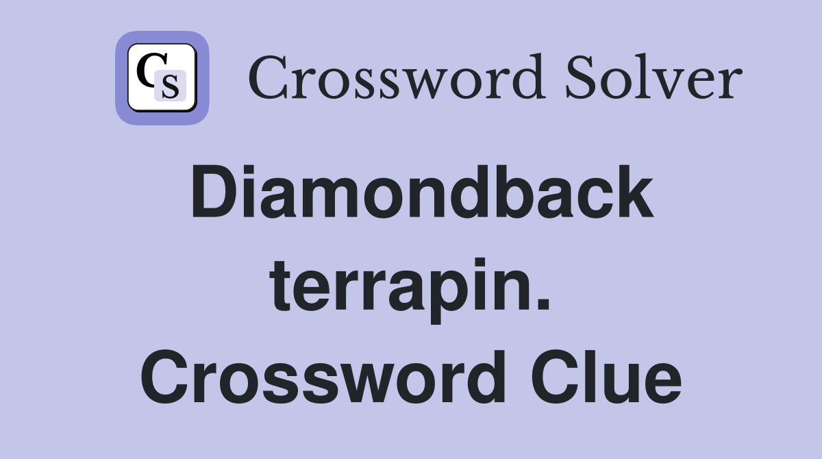 Diamondback terrapin. Crossword Clue