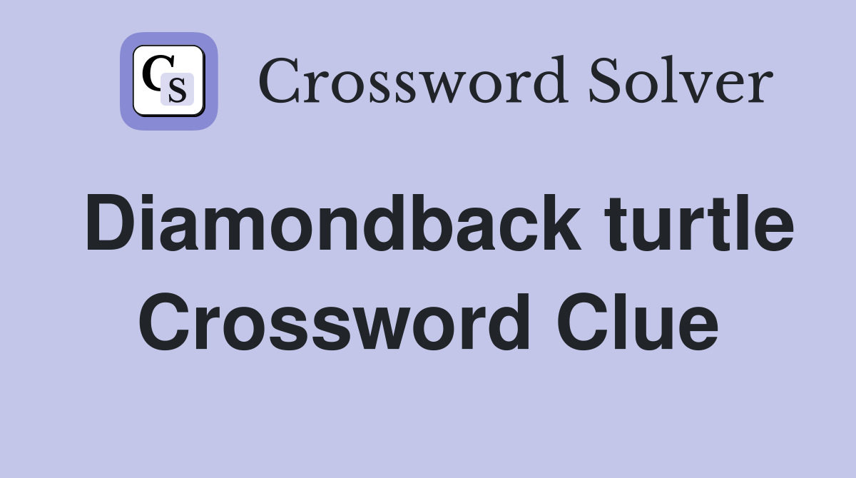Diamondback turtle Crossword Clue