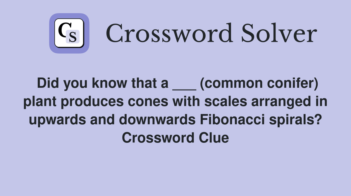Did you know that a ___ (common conifer) plant produces cones with scales arranged in upwards and downwards Fibonacci spirals? Crossword Clue