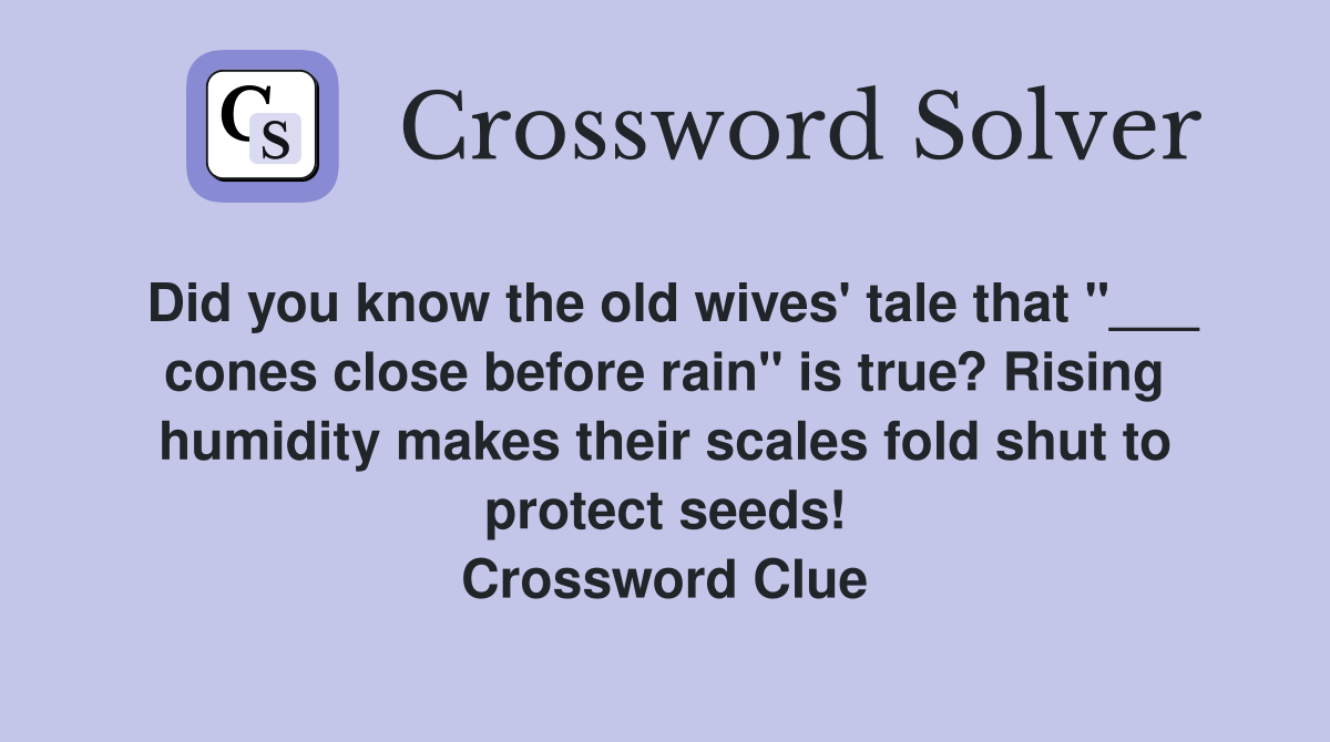 Did you know the old wives' tale that "___ cones close before rain" is true? Rising humidity makes their scales fold shut to protect seeds! Crossword Clue
