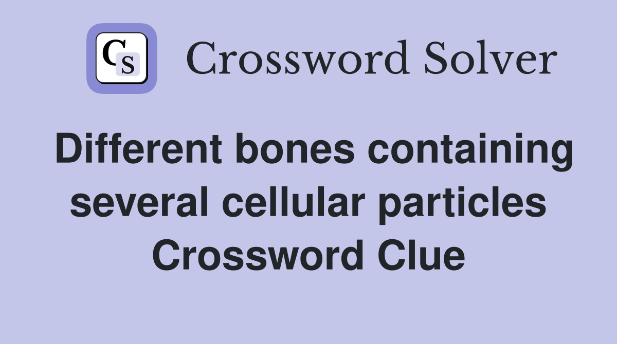 Different bones containing several cellular particles Crossword Clue
