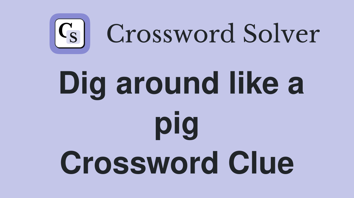 Dig around like a pig Crossword Clue