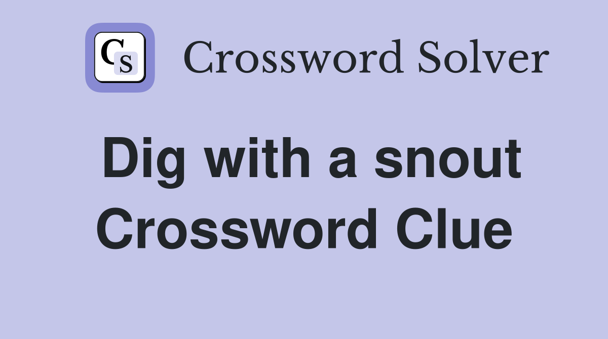 Dig with a snout Crossword Clue