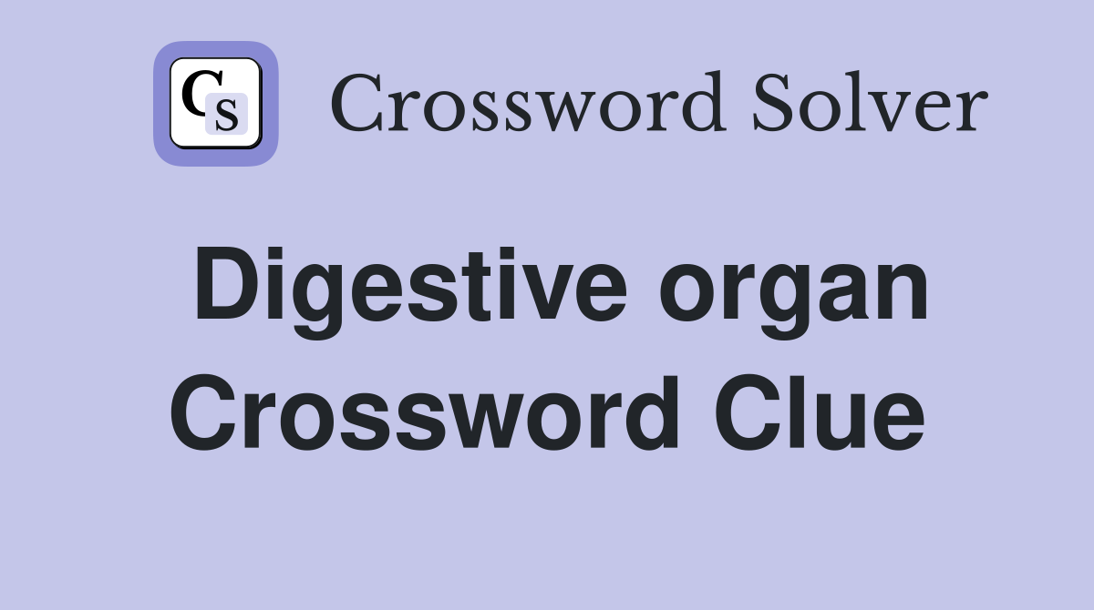 Digestive organ Crossword Clue