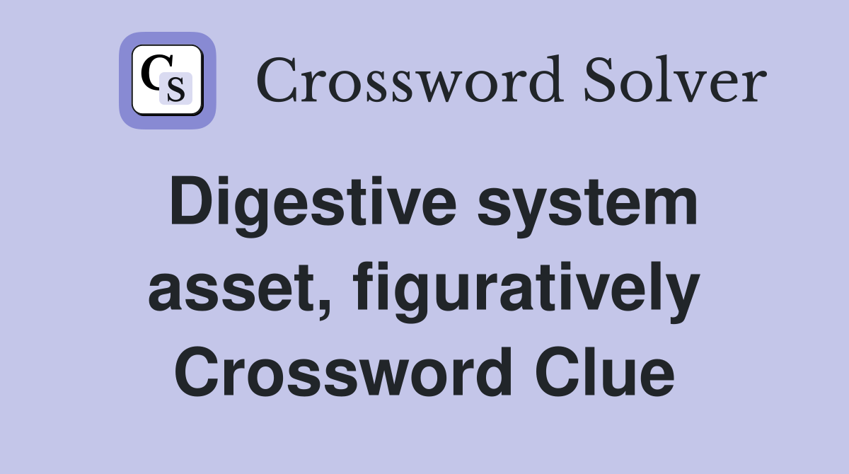 Digestive system asset, figuratively Crossword Clue