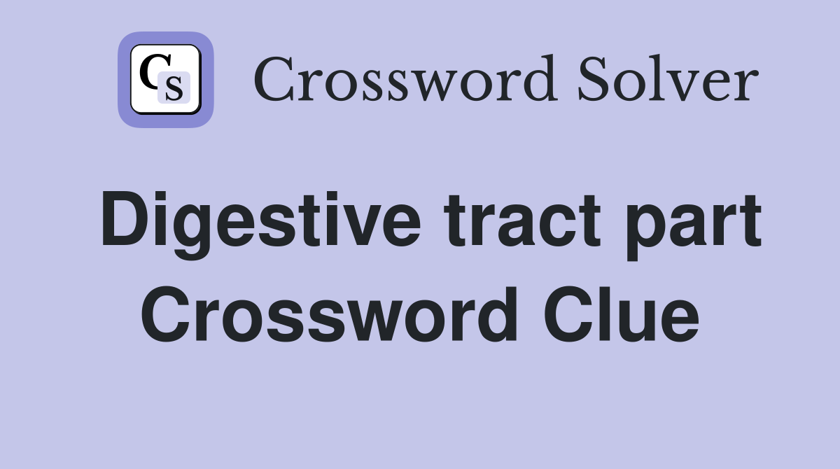 Digestive tract part Crossword Clue