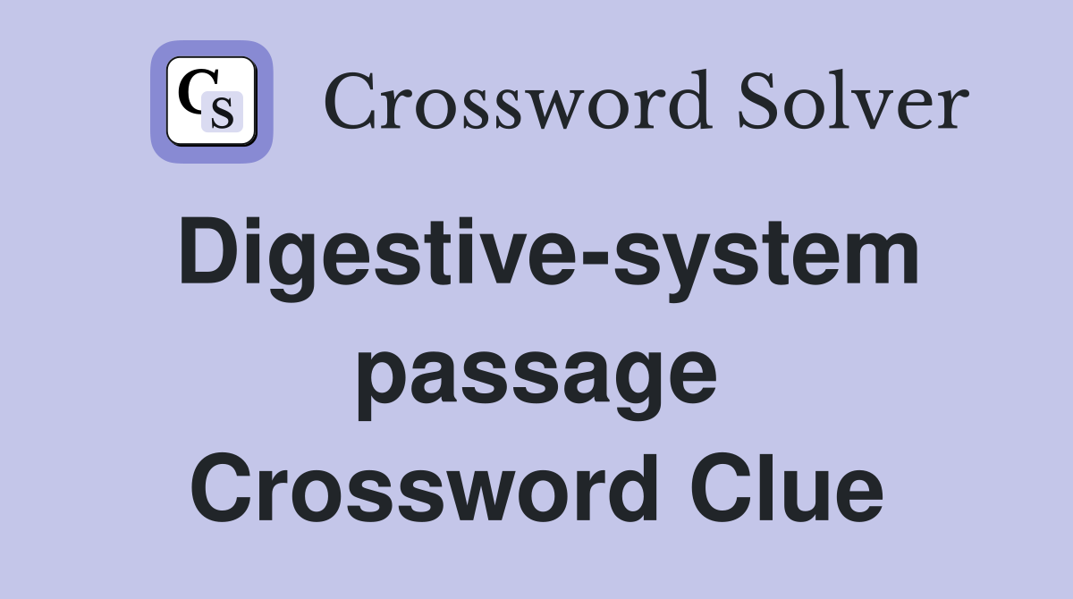 Digestive-system passage Crossword Clue