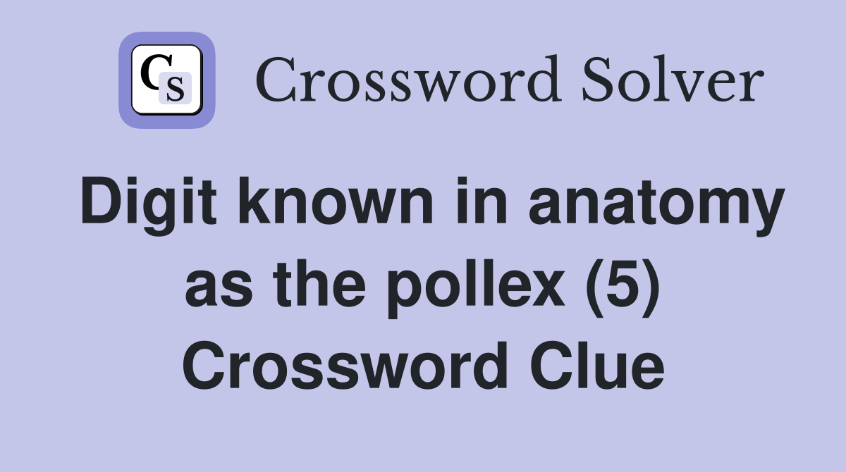 Digit known in anatomy as the pollex (5) Crossword Clue