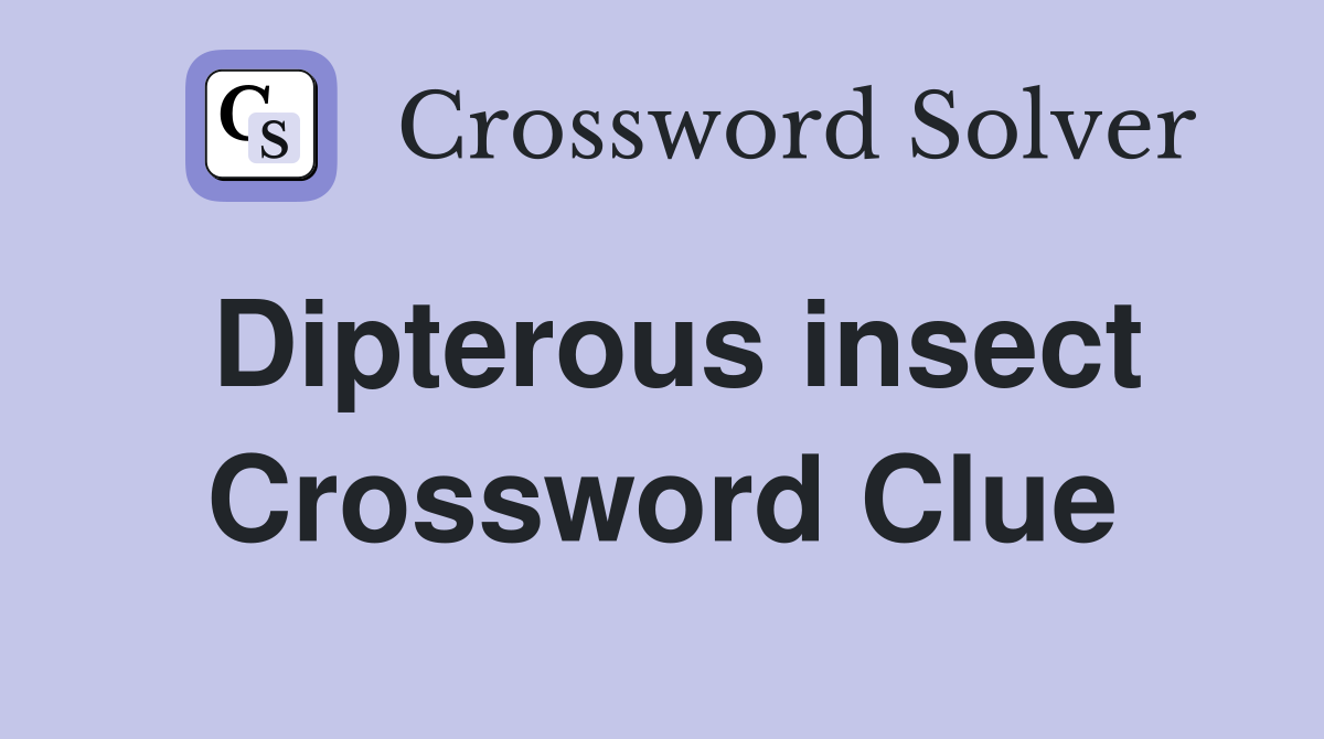 Dipterous insect Crossword Clue
