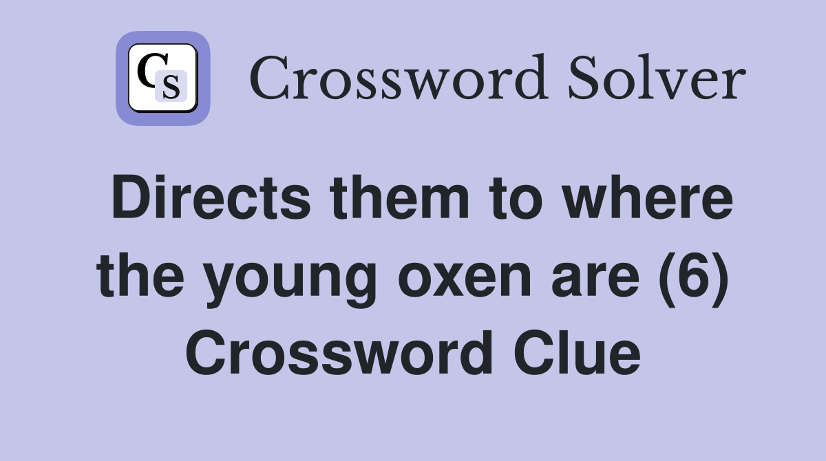 Directs them to where the young oxen are (6) Crossword Clue