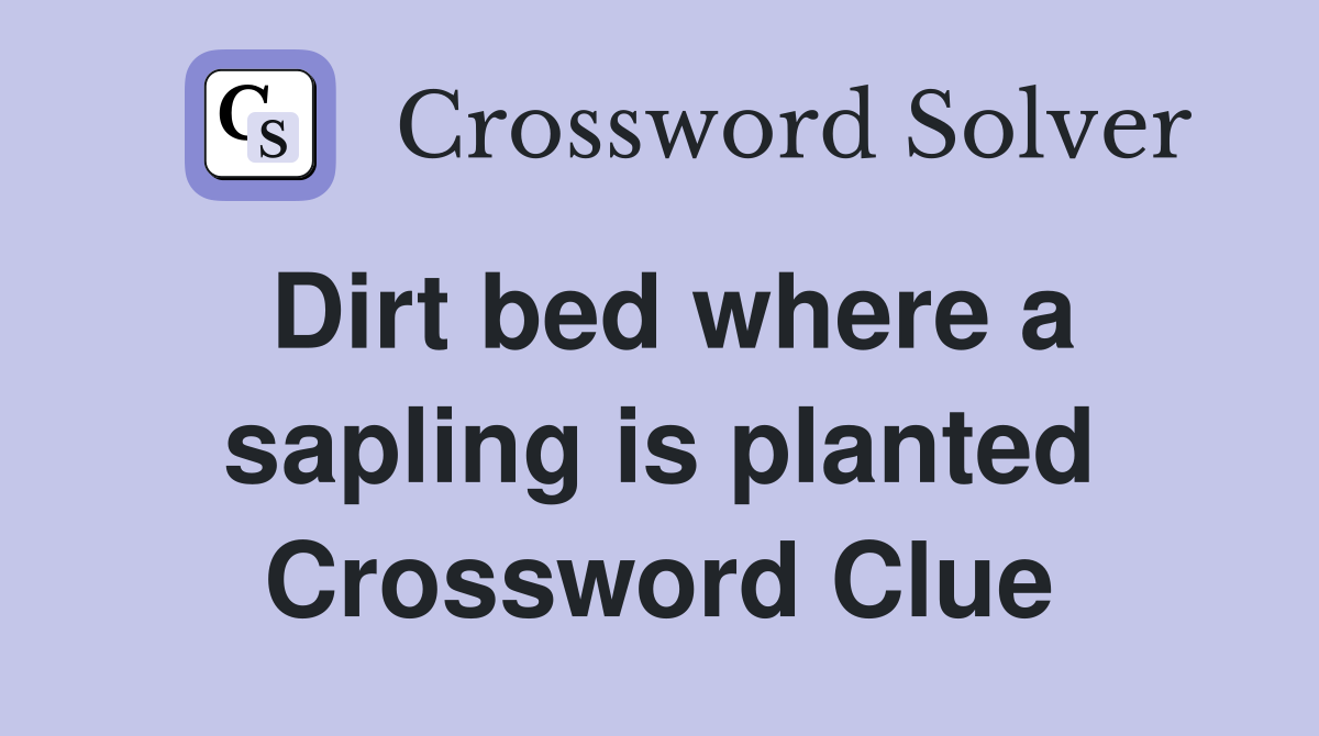 Dirt bed where a sapling is planted Crossword Clue