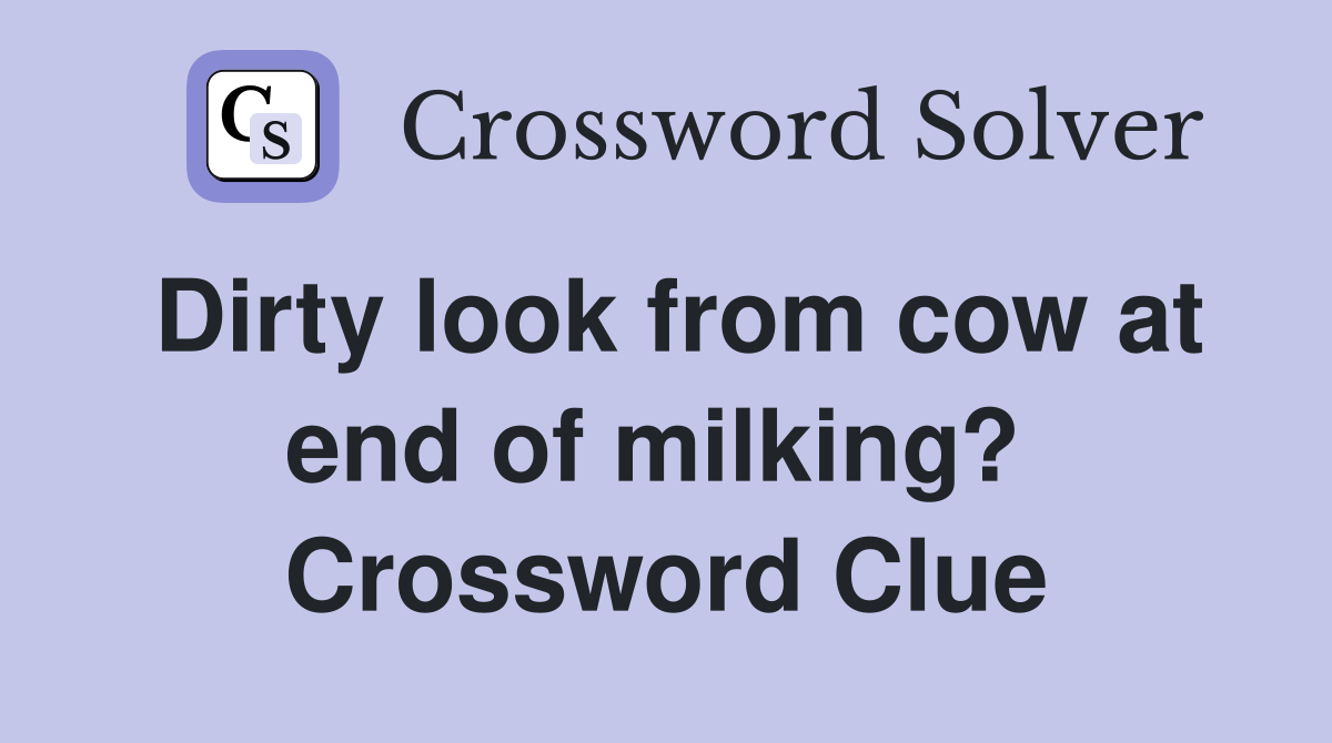 Dirty look from cow at end of milking?  Crossword Clue