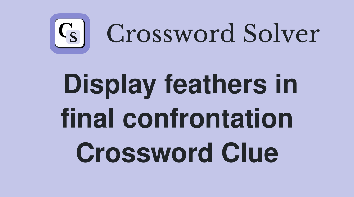 Display feathers in final confrontation Crossword Clue
