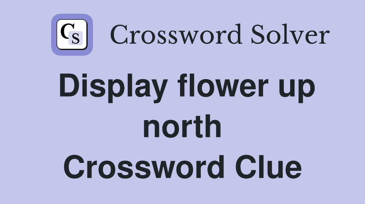 Display flower up north Crossword Clue