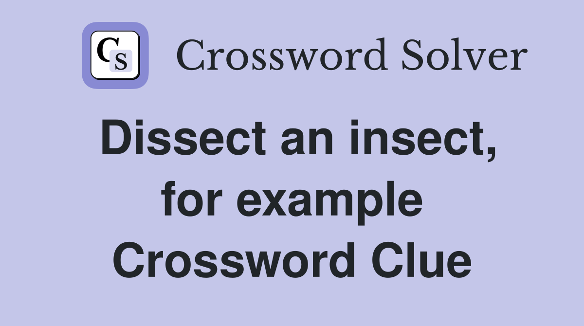 Dissect an insect, for example Crossword Clue