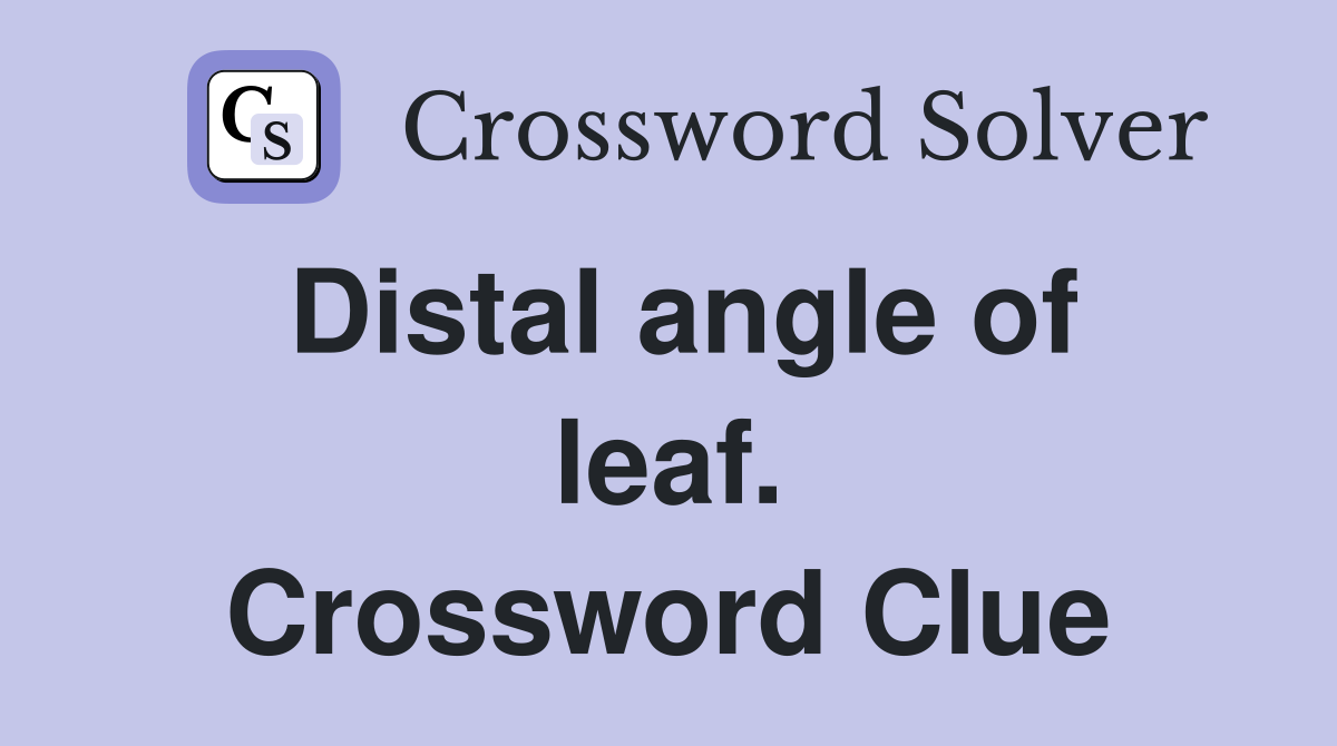 Distal angle of leaf. Crossword Clue