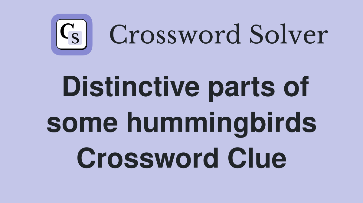 Distinctive parts of some hummingbirds Crossword Clue