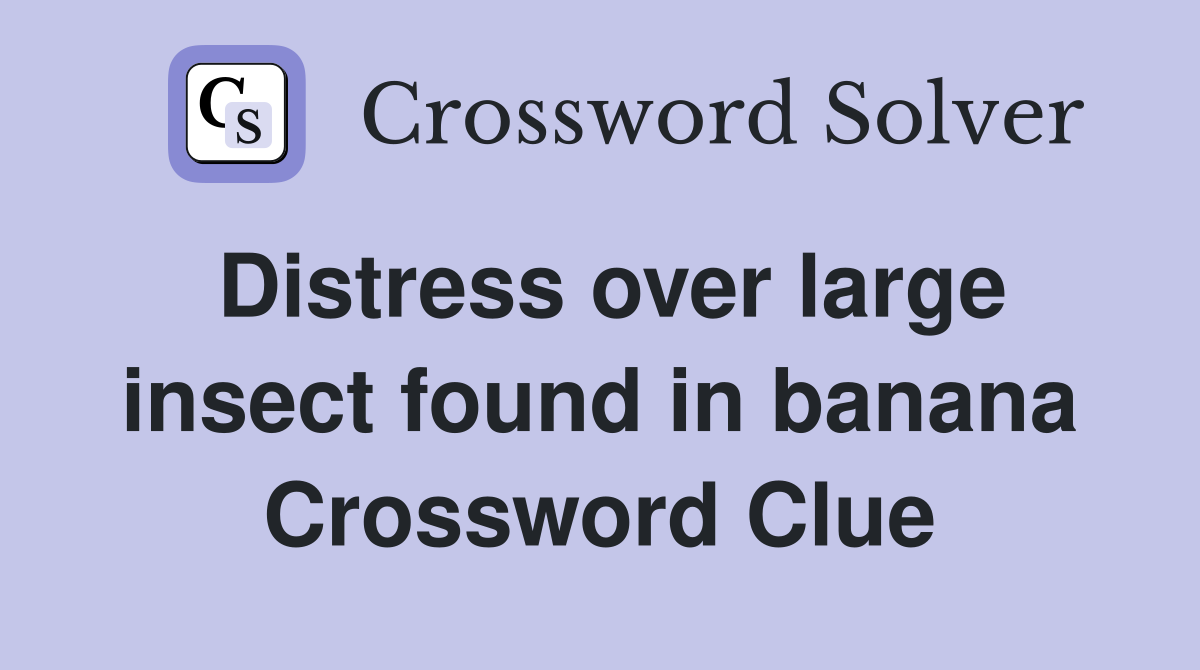 Distress over large insect found in banana Crossword Clue