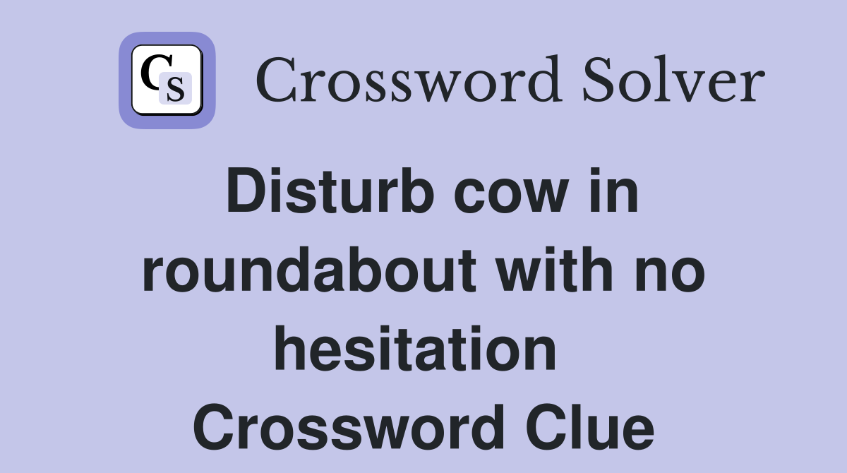Disturb cow in roundabout with no hesitation  Crossword Clue