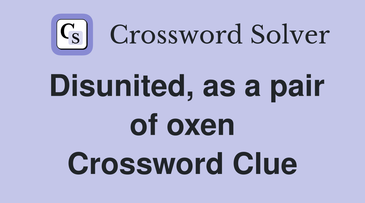 Disunited, as a pair of oxen Crossword Clue