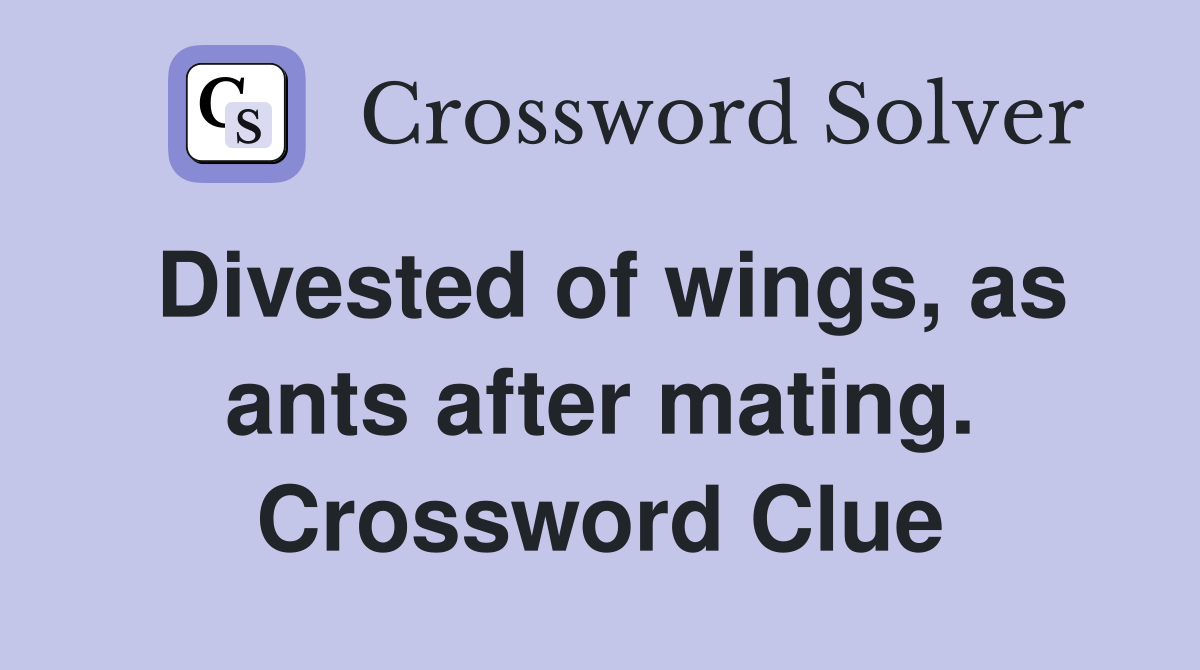 Divested of wings, as ants after mating. Crossword Clue