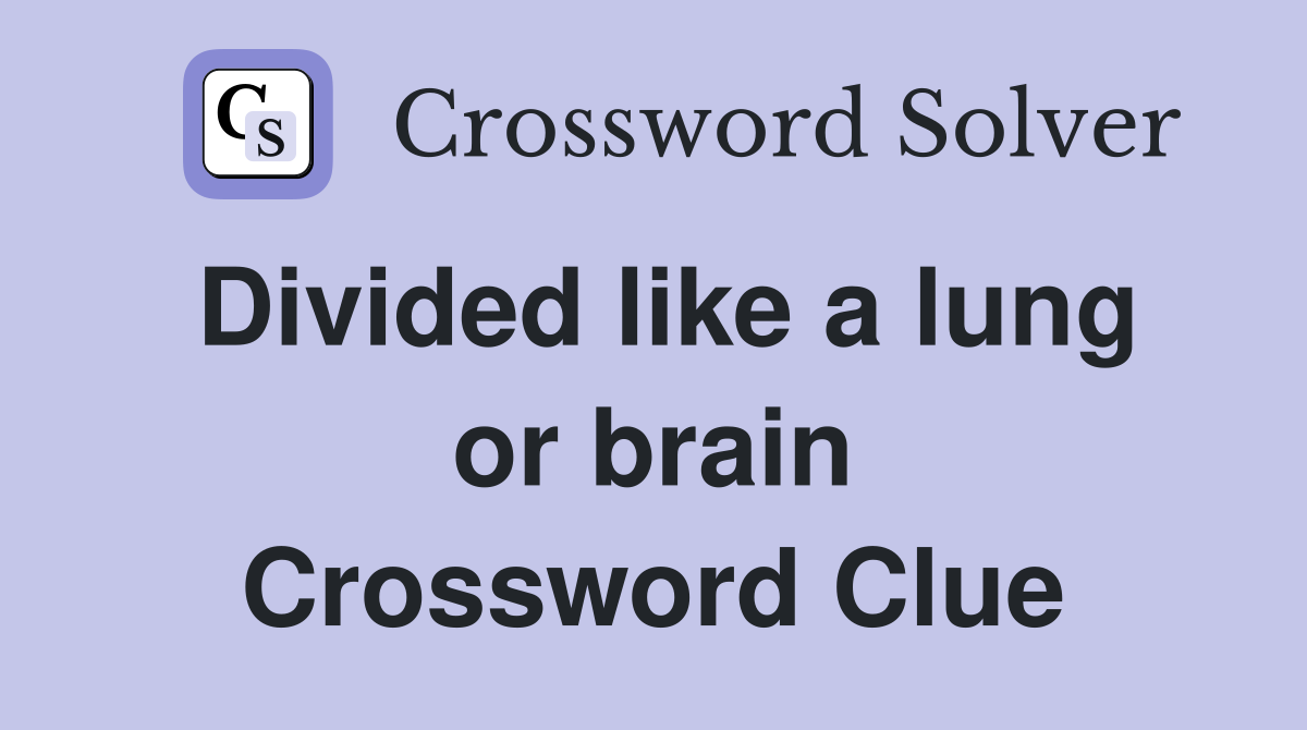 Divided like a lung or brain Crossword Clue