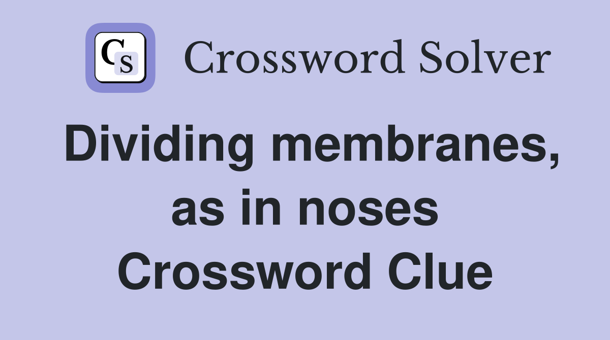 Dividing membranes, as in noses Crossword Clue
