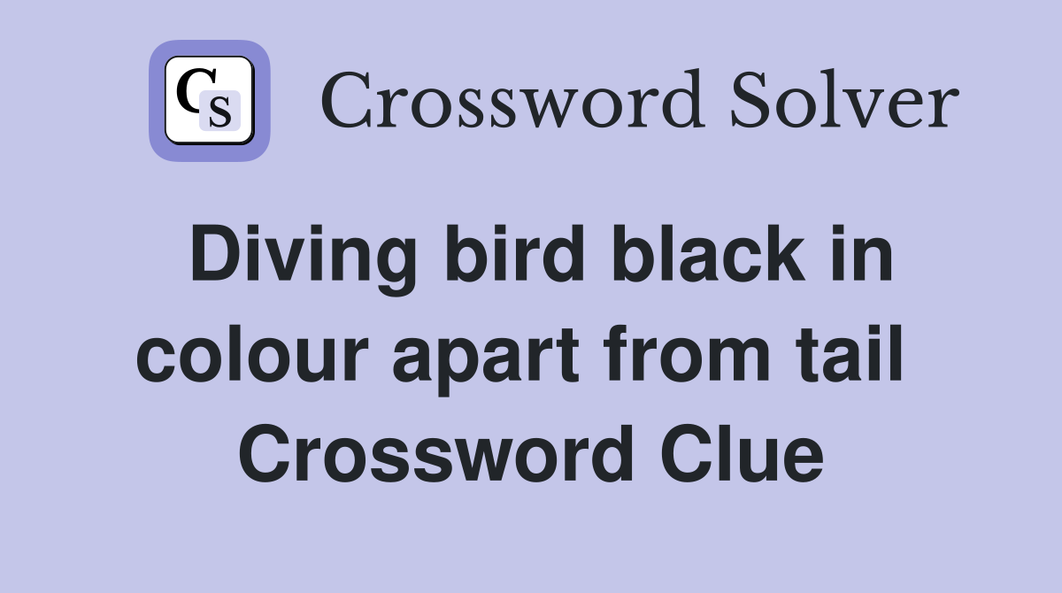 Diving bird black in colour apart from tail  Crossword Clue