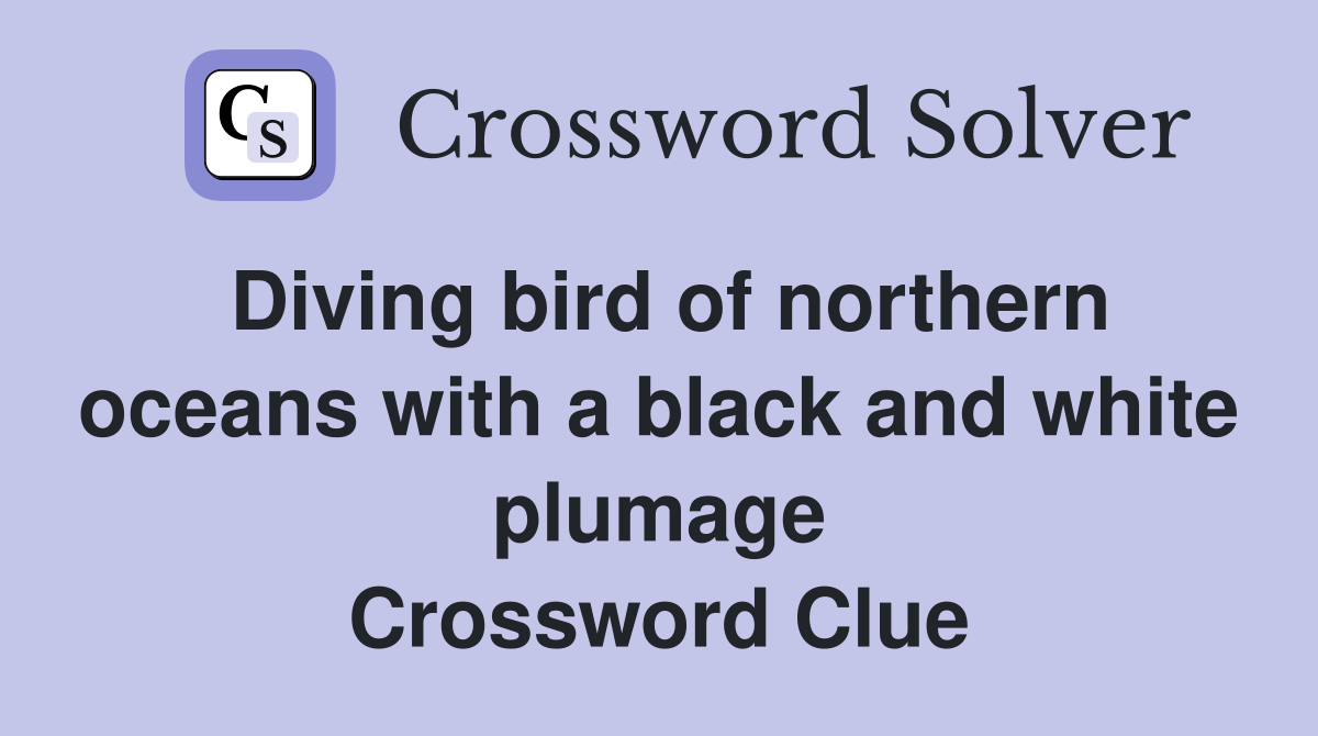 Diving bird of northern oceans with a black and white plumage Crossword Clue