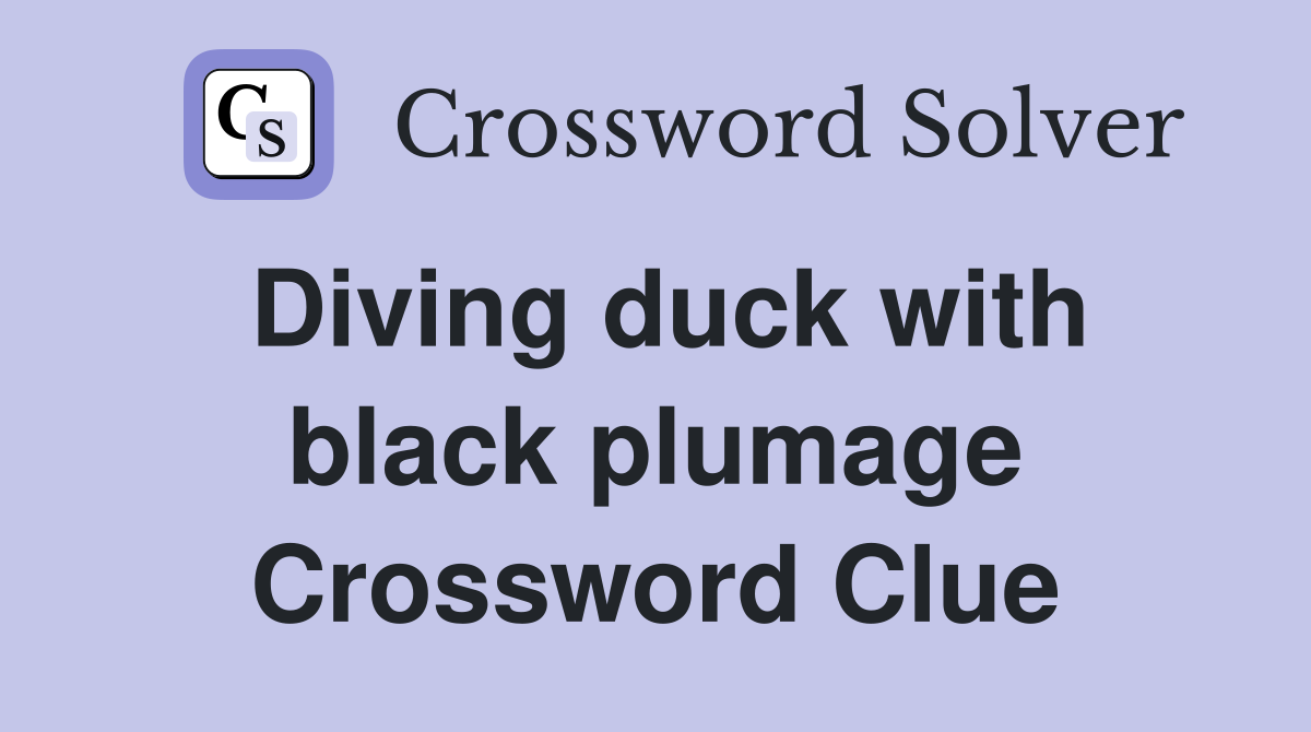 Diving duck with black plumage Crossword Clue