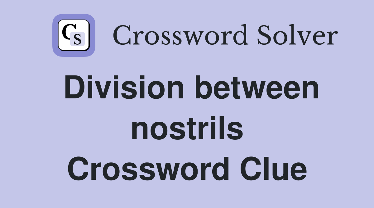 Division between nostrils Crossword Clue