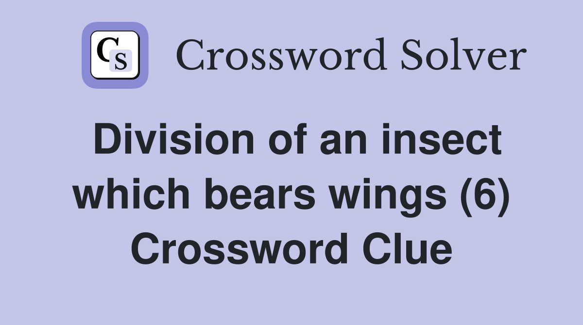 Division of an insect which bears wings (6) Crossword Clue