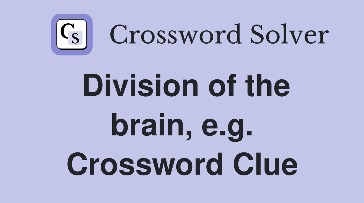 Division of the brain, e.g. Crossword Clue
